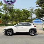 Hyundai kona 2019